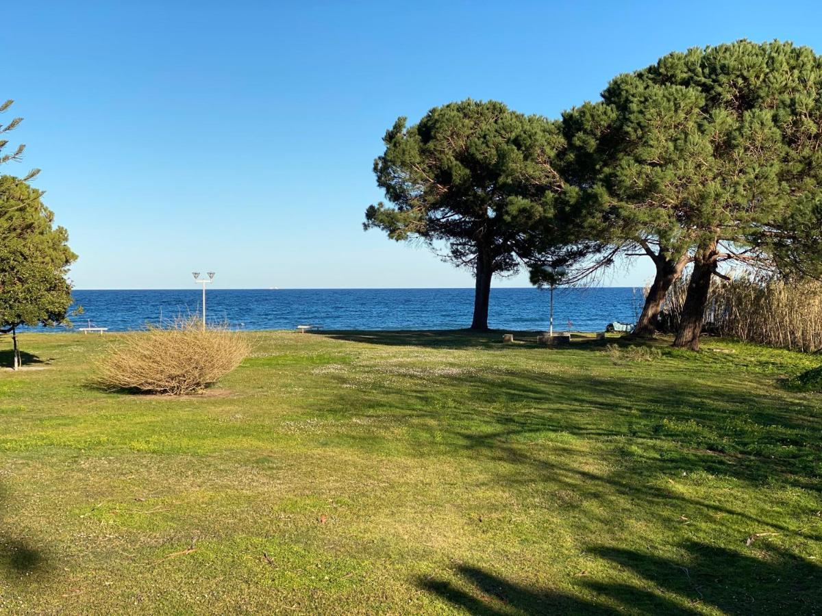 Residence Santa Lucia, Studio Avec Piscine , Vue Mer Et Pied Dans L'Eau , Moriani-Plage 외부 사진